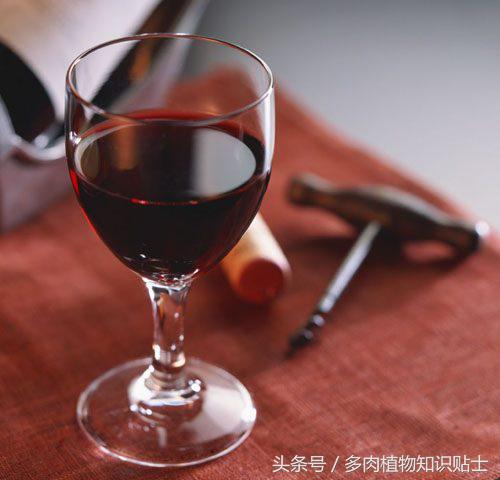 生石花多肉的品种,多肉植物生石花品种大全