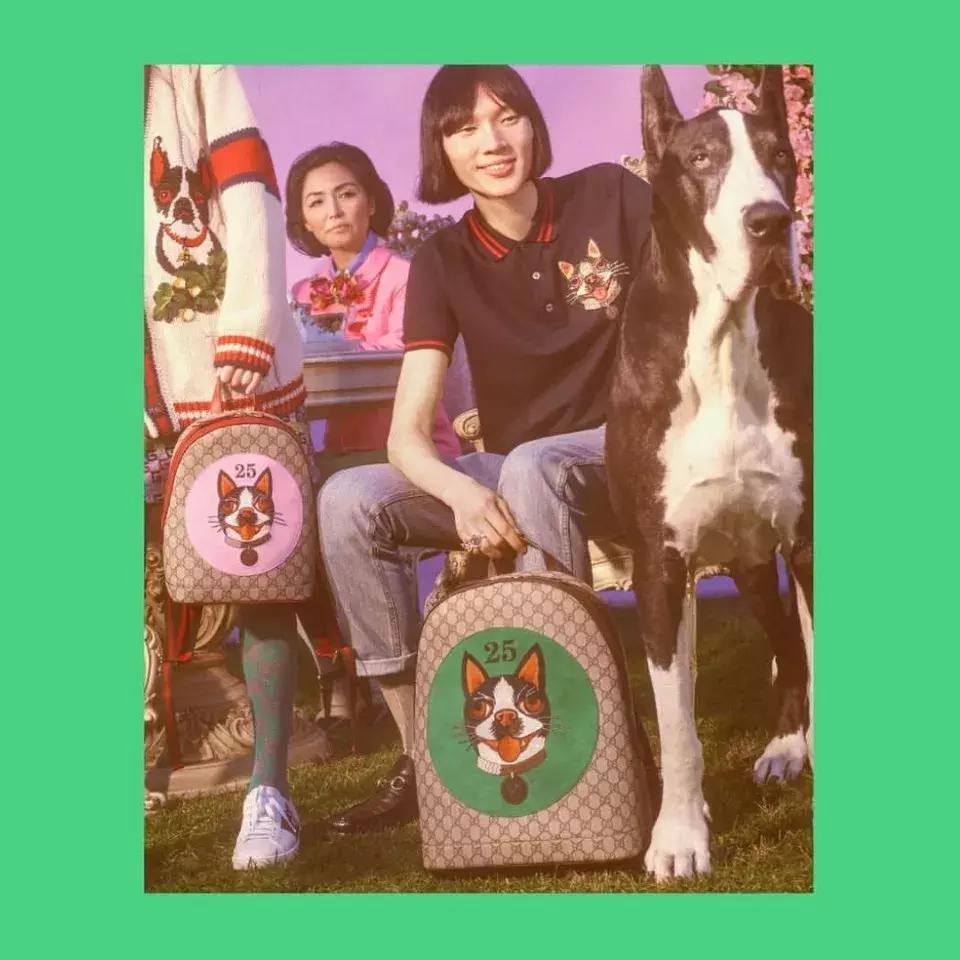 红双喜限定八星,红双喜限定系列