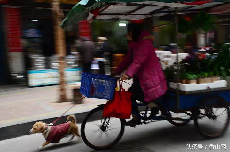 珠海闹市中破破烂烂的老街,有我儿时过年的味道