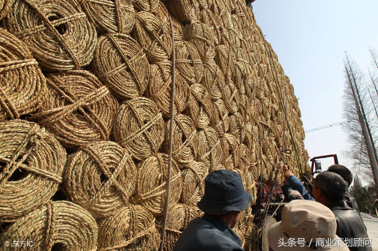 80后返乡创业方案有哪些,2023返乡创业有什么好项目