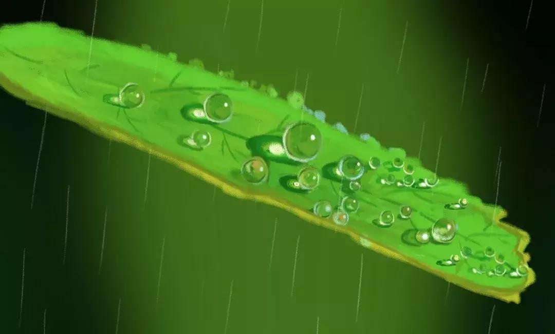 春雨绵绵诗情画意,诗词中的春雨满满诗情画意