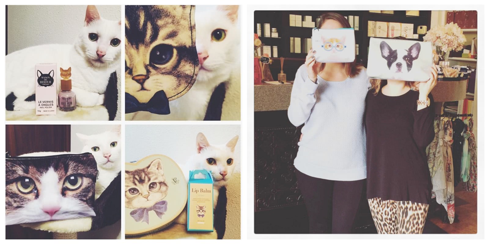 最适合猫咪用的猫包 (猫猫比较适合的猫包)