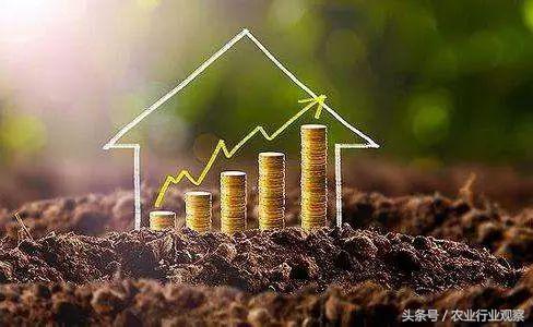 互联网行业都有哪些创业方向,农业互联网方面的创业该如何进行