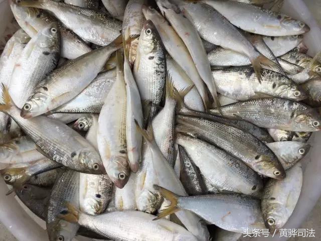 美食过新春,美食过元宵