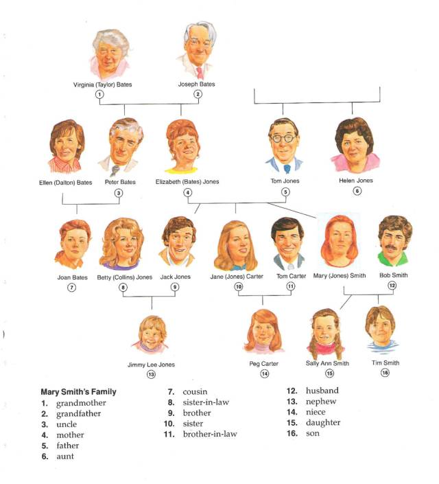 有用的英语单词快速记忆,如何使用词典学英语