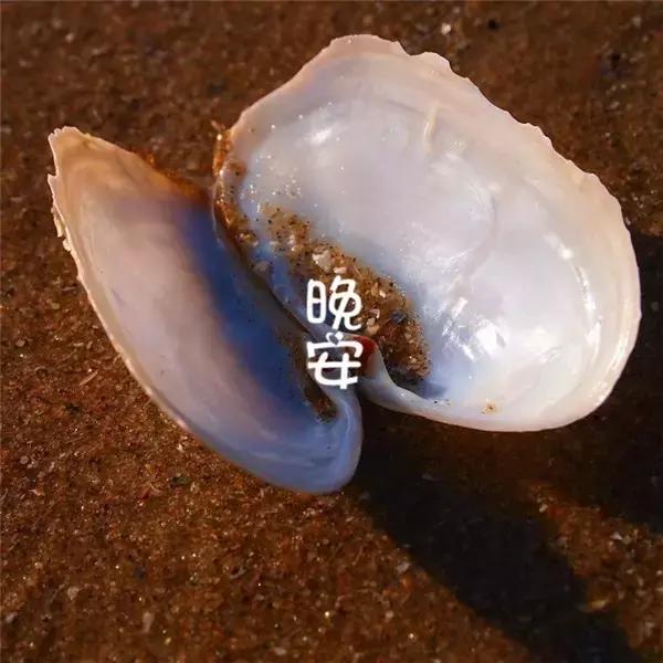 鸡汤语录正能量励志晚安心语配图,经典励志晚安祝福语大全55句精选