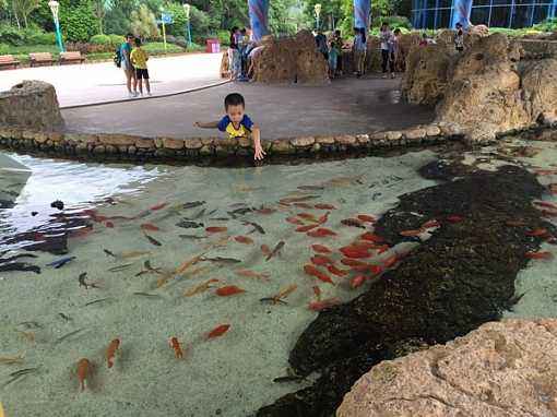 去珠海长隆海洋王国住哪里好,珠海长隆海洋王国烟花时间表