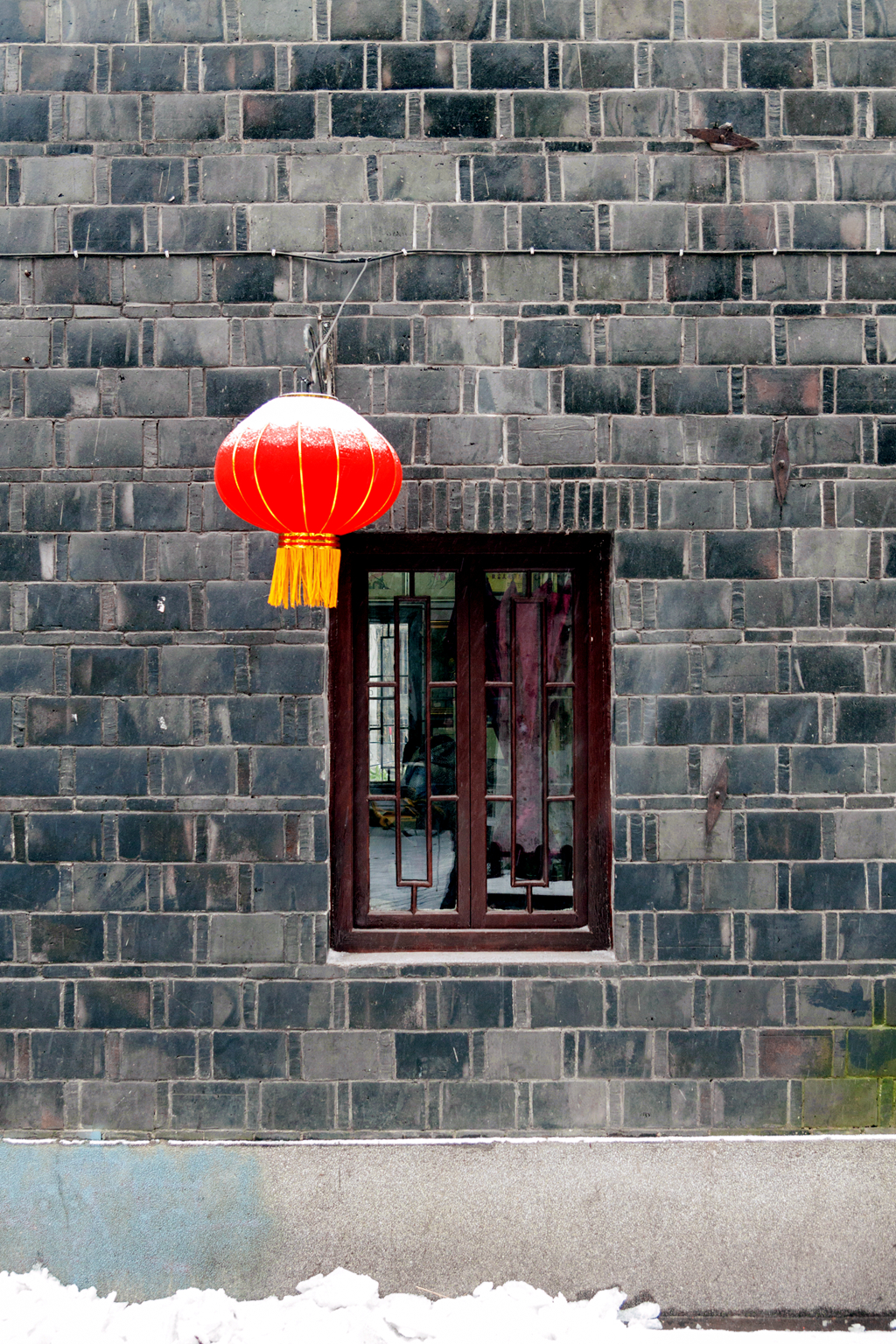 随风飞舞——雪花下武昌街头影像