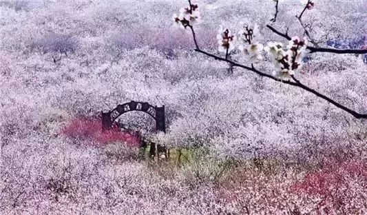 赏花灯游千年古街,游古镇赏花灯品古趣