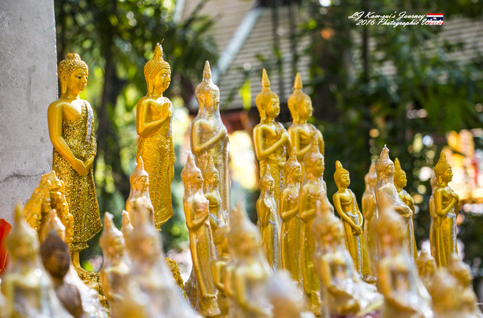 泰国清迈县旅行者,清迈佛寺之城等你采撷的泰北玫瑰