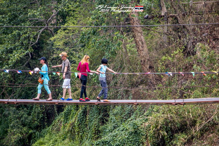 泰国清迈县旅行者,清迈佛寺之城等你采撷的泰北玫瑰