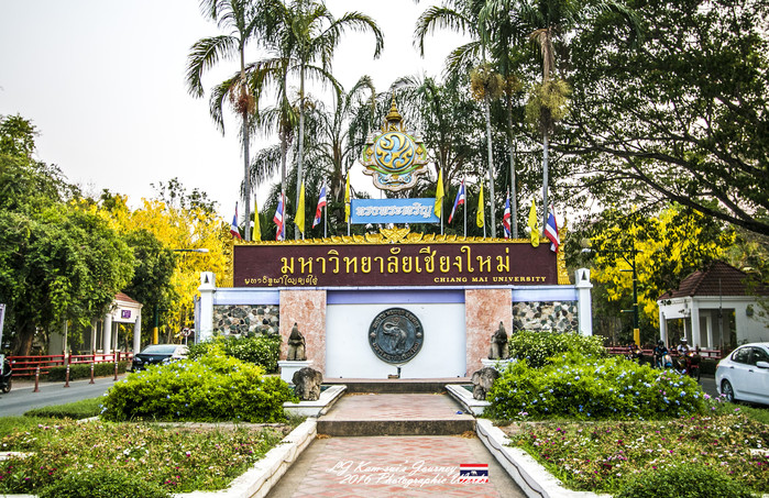 泰国清迈县旅行者,清迈佛寺之城等你采撷的泰北玫瑰