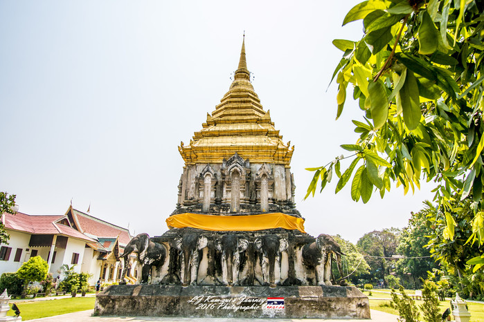 泰国清迈县旅行者,清迈佛寺之城等你采撷的泰北玫瑰
