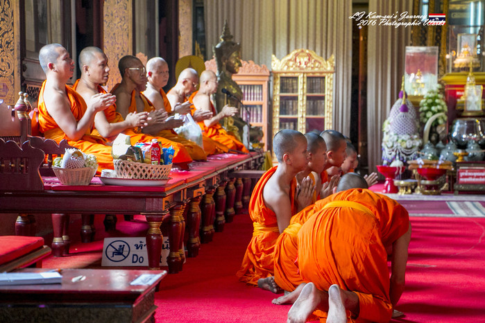 泰国清迈县旅行者,清迈佛寺之城等你采撷的泰北玫瑰