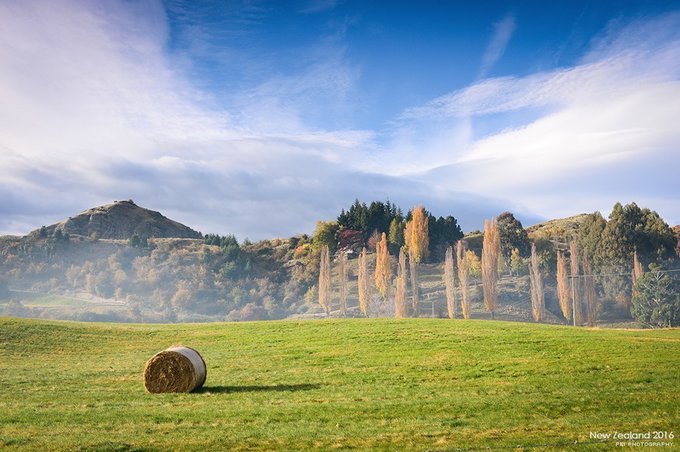 【NewZealand】说走就走，奔赴一场秋天的盛宴——新西兰任性10日游,更新中