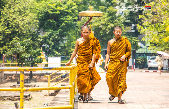 泰国清迈县旅行者,清迈佛寺之城等你采撷的泰北玫瑰