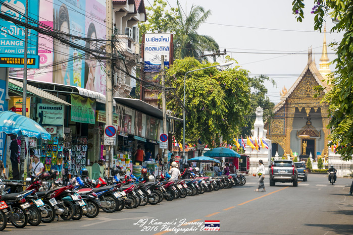 泰国清迈县旅行者,清迈佛寺之城等你采撷的泰北玫瑰