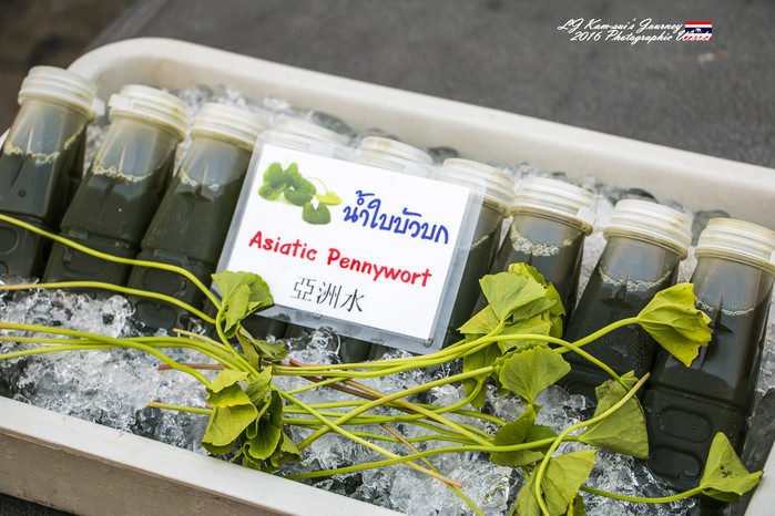 泰国清迈县旅行者,清迈佛寺之城等你采撷的泰北玫瑰