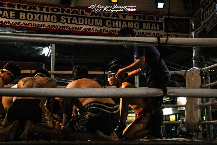 泰国清迈县旅行者,清迈佛寺之城等你采撷的泰北玫瑰