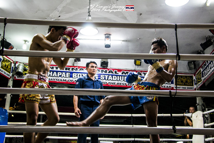 泰国清迈县旅行者,清迈佛寺之城等你采撷的泰北玫瑰