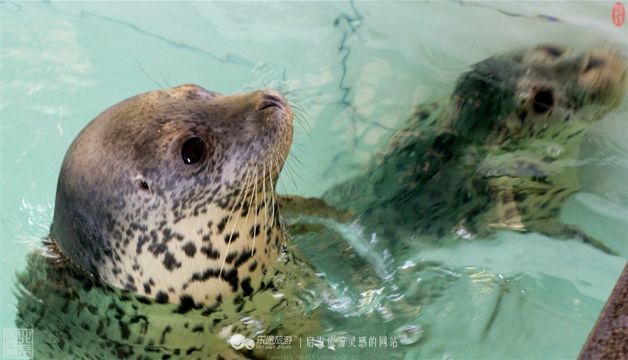 游览安吉中南百草园,中南百草原几个小时游玩