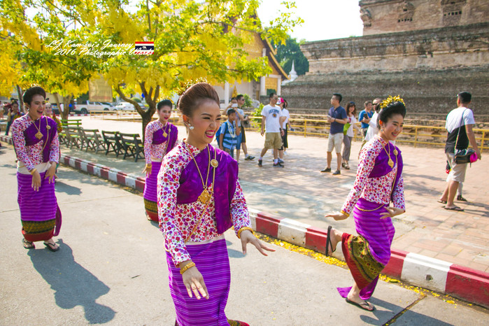 泰国清迈县旅行者,清迈佛寺之城等你采撷的泰北玫瑰