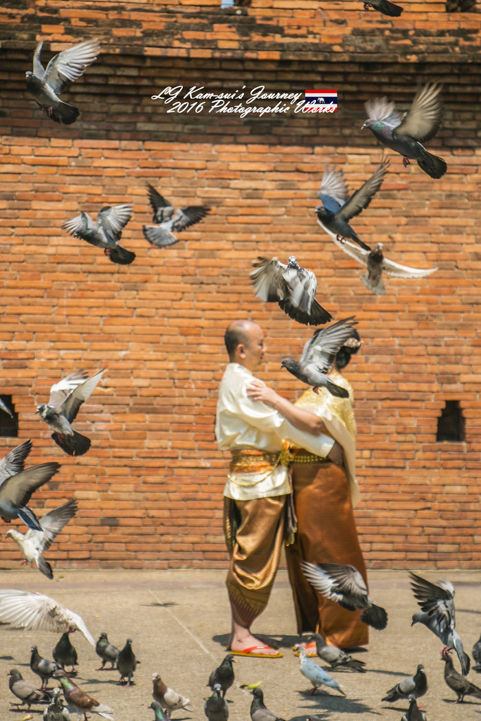 泰国清迈县旅行者,清迈佛寺之城等你采撷的泰北玫瑰