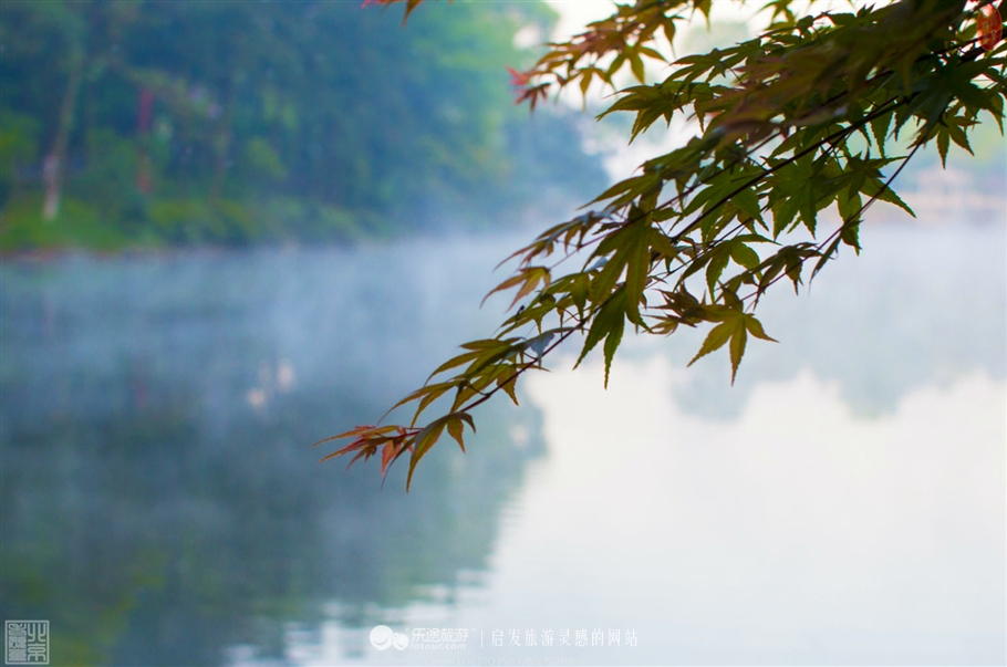 游览安吉中南百草园,中南百草原几个小时游玩