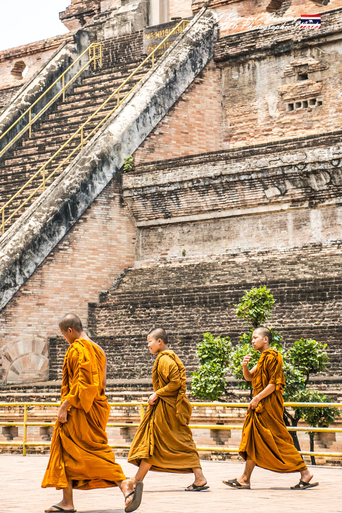 泰国清迈县旅行者,清迈佛寺之城等你采撷的泰北玫瑰