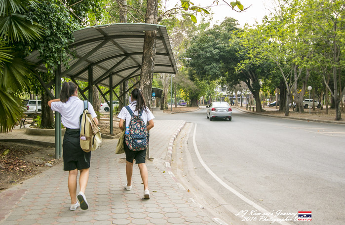 泰国清迈县旅行者,清迈佛寺之城等你采撷的泰北玫瑰