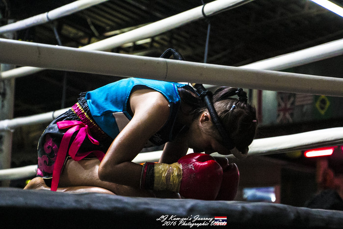 泰国清迈县旅行者,清迈佛寺之城等你采撷的泰北玫瑰