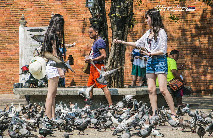泰国清迈县旅行者,清迈佛寺之城等你采撷的泰北玫瑰