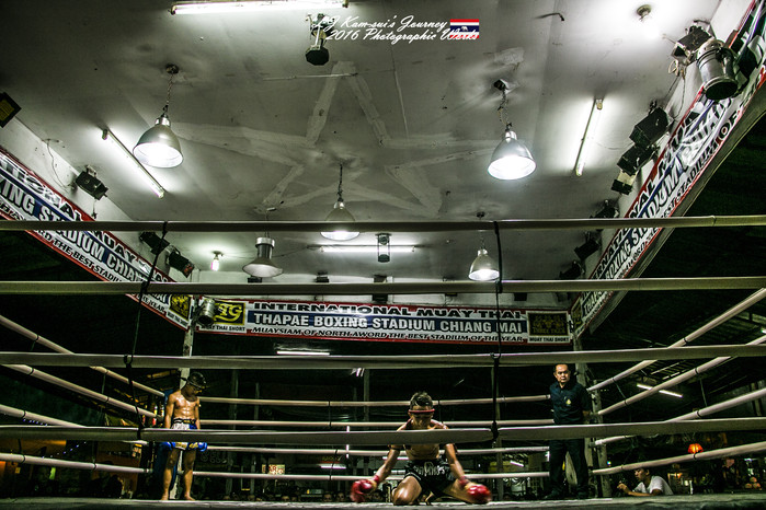 泰国清迈县旅行者,清迈佛寺之城等你采撷的泰北玫瑰