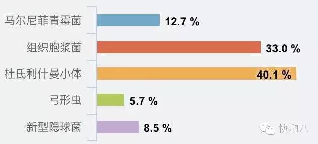 胞浆内颗粒减少,胞浆内颗粒增多