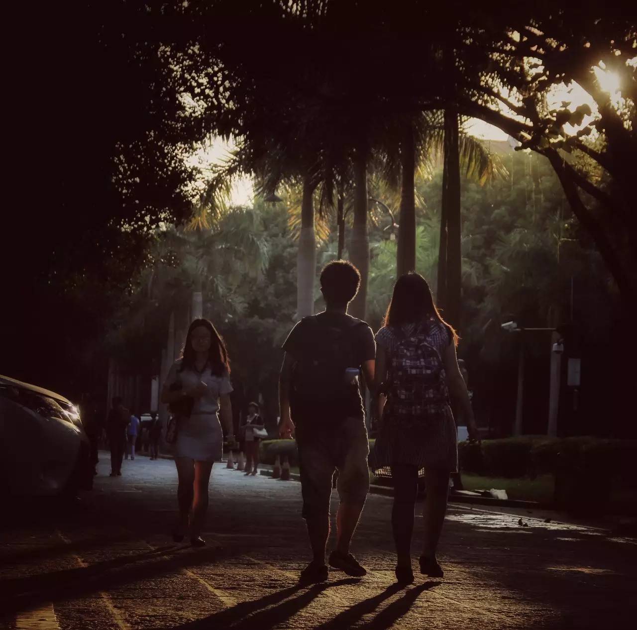 厦大上学是什么样的体验,厦大的真实生活