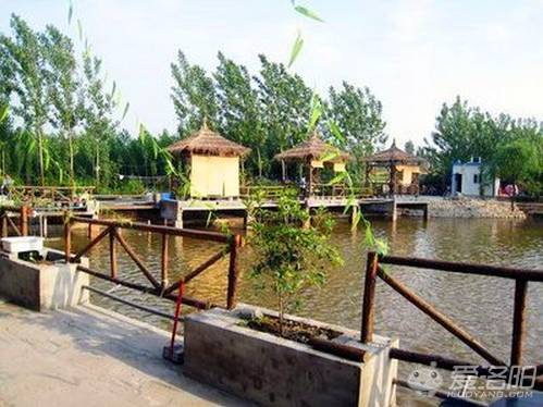 洛阳农家乐生态园排名,洛阳近郊农家乐哪家最好