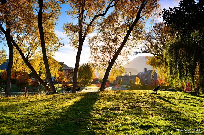 【NewZealand】说走就走，奔赴一场秋天的盛宴——新西兰任性10日游,更新中
