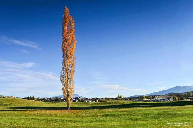 【NewZealand】说走就走，奔赴一场秋天的盛宴——新西兰任性10日游,更新中