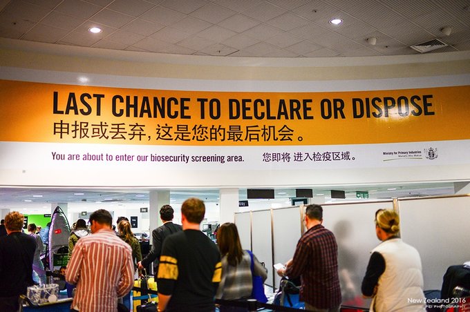 【NewZealand】说走就走，奔赴一场秋天的盛宴——新西兰任性10日游,更新中