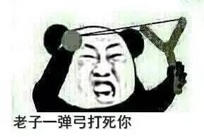 司机阿爹你在干嘛？！再这样我要报警了！