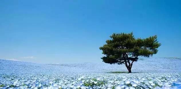 去日本必去的10个秘境,来日本东京玩必去的几个地方