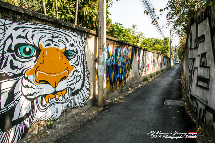 泰国清迈县旅行者,清迈佛寺之城等你采撷的泰北玫瑰