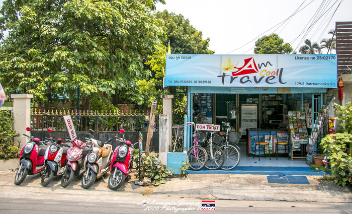 泰国清迈县旅行者,清迈佛寺之城等你采撷的泰北玫瑰