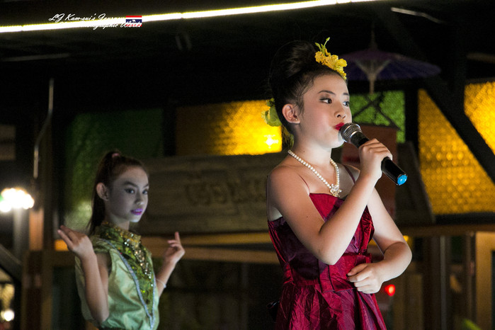 泰国清迈县旅行者,清迈佛寺之城等你采撷的泰北玫瑰