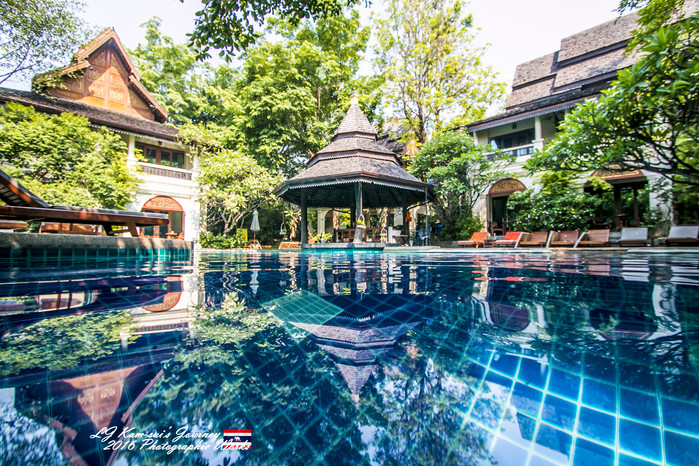 泰国清迈县旅行者,清迈佛寺之城等你采撷的泰北玫瑰