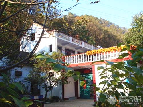 洛阳农家乐生态园排名,洛阳近郊农家乐哪家最好