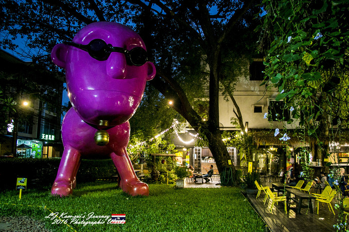 泰国清迈县旅行者,清迈佛寺之城等你采撷的泰北玫瑰