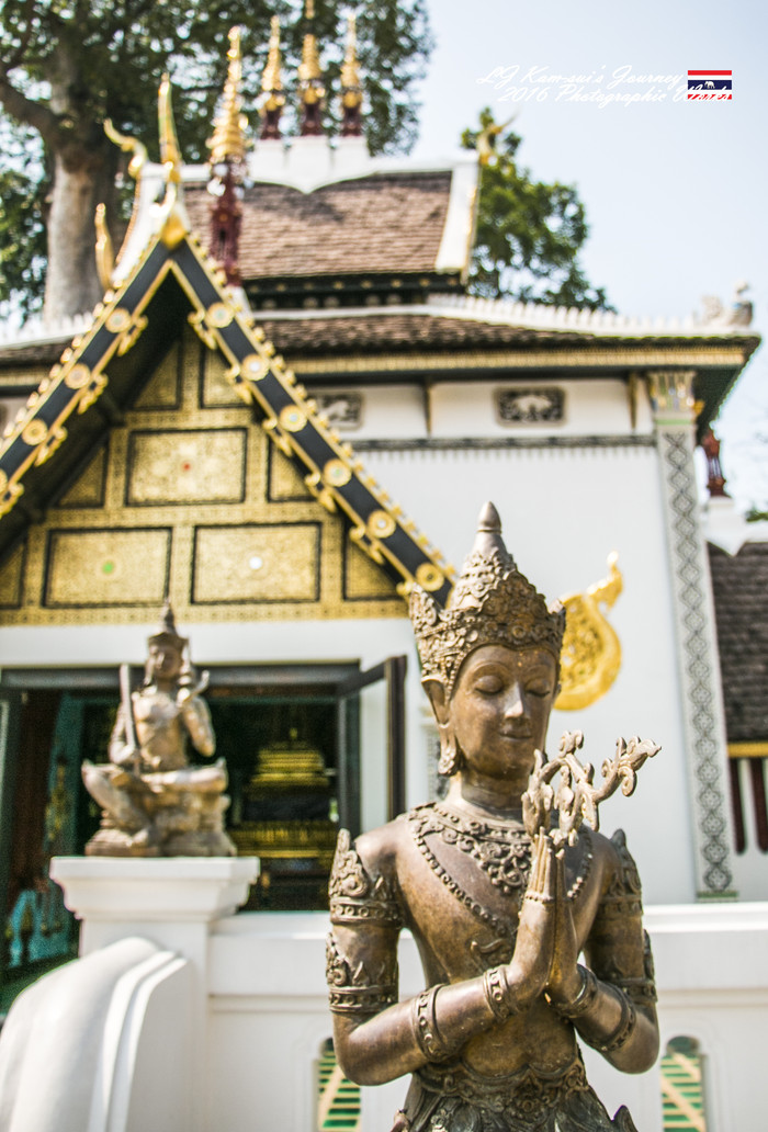 泰国清迈县旅行者,清迈佛寺之城等你采撷的泰北玫瑰