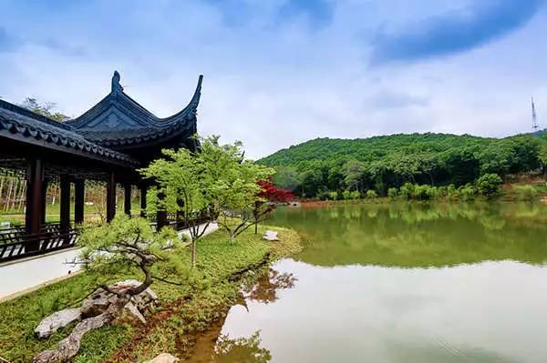 江苏省治水,江苏镇江十大名镇