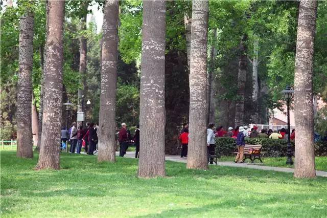 人定湖公园风格,人定湖欧式公园